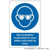 Eye Protection - 16329 image