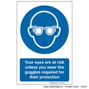 Eye Protection - 16333 image