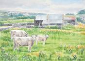 The Thistle Field | Sara Hodson Fine Art image