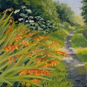 Montbretia Path | Sara Hodson Fine Art image