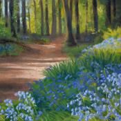 Bluebell Wood | Sara Hodson Fine Art image