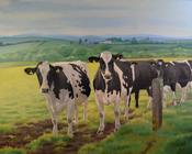 Pastoral | Sara Hodson Fine Art image