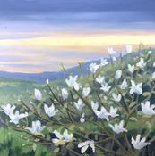 Magnolia sunset SOLD | Sara Hodson Fine Art image