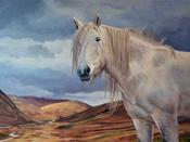 Highland Queen available from gallery | Sara Hodson Fine Art image