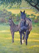 In the Shade SOLD | Sara Hodson Fine Art image