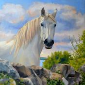 Connemara Pony | Sara Hodson Fine Art image