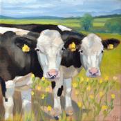 Calves midsummer | Sara Hodson Fine Art image