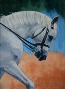 Connemara pony i | Sara Hodson Fine Art image