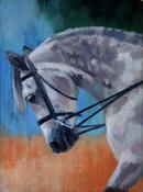 Connemara pony ii | Sara Hodson Fine Art image