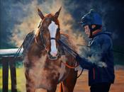 Steam Rising | Sara Hodson Fine Art image