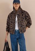 Navy Tan Leo Print Jacket image