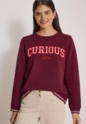 Varsity Sweatshirt image