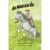 An Marcach Óg