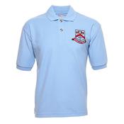 St. Paul's NS Ratoath Polo Shirt - 09/10 Years image