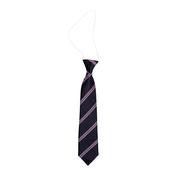 St. Paul's NS Ratoath Tie (Elastic) - Elastic image
