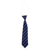 Kilcoole National School Tie - Elastic image