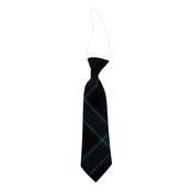 Gaelscoil Thaobh Na Coille Tie - Elastic image