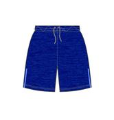 Holy Family NS Rathcoole Shorts (New) - XL image
