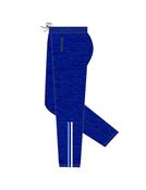 Holy Family NS Rathcoole Tracksuit Bottom (New) - 11/12 Years image