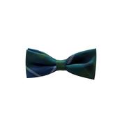 Broadmeadow CNS Bow Tie - One Size image