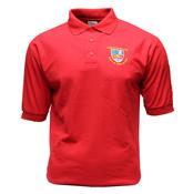 Colaiste na Carraige Polo Shirt (Red) - 13 Years image