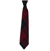 Gaelscoil Uí­ Fhiaich Tie (Elastic/Regular) - 15" Elastic image