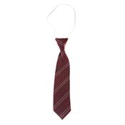 Edmondstown NS Tie (Elastic/Regular) - Regular image