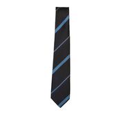 St Pius X Boys &amp; Girls Schools Tie - Regular image
