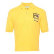 St. Patrick's Curtlestown Polo - 13 Years image