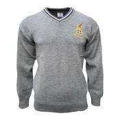 Terenure College Jumper - Junior (Grey) - Medium