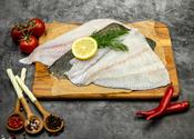Turbot Fillets 200/220 Grams image