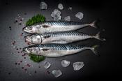Whole Mackerel 300-350 gram image