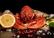 Live or cooked Irish lobster 450 - 550 Grams