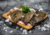 Whole Plaice 300-350 gram image