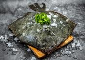 Whole Turbot 2-2.5kg Fish image
