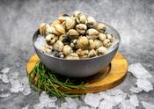 Fresh Cockles