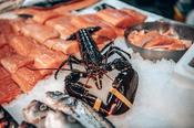 Live lobsters approx weight 450/550g
