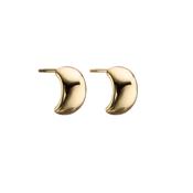 Still Studs Gold image