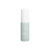 Anti-Frizz Hair Booster