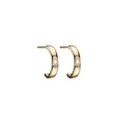 Facet 1/2 Hoops Gold image