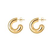 Rose Earrings Gold image