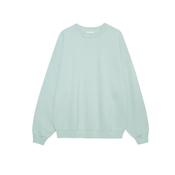 Miles Sweatshirt Seafoam image