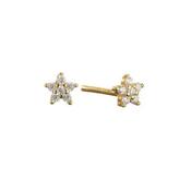 Crystal Star Stud
