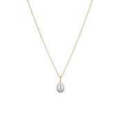 Freshwater Pearl Necklace image