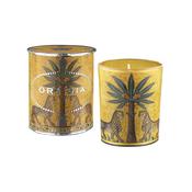Decorated Candle Small Zagara image