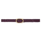 Signature Link Braided Belt Fig image