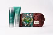 Joico Dreamscapes JoiFull Gift Set image