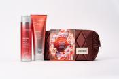 Joico Dreamscapes Youthlock Gift Set image