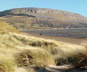 Coastal Trails