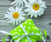 Seatrails Gift Vouchers